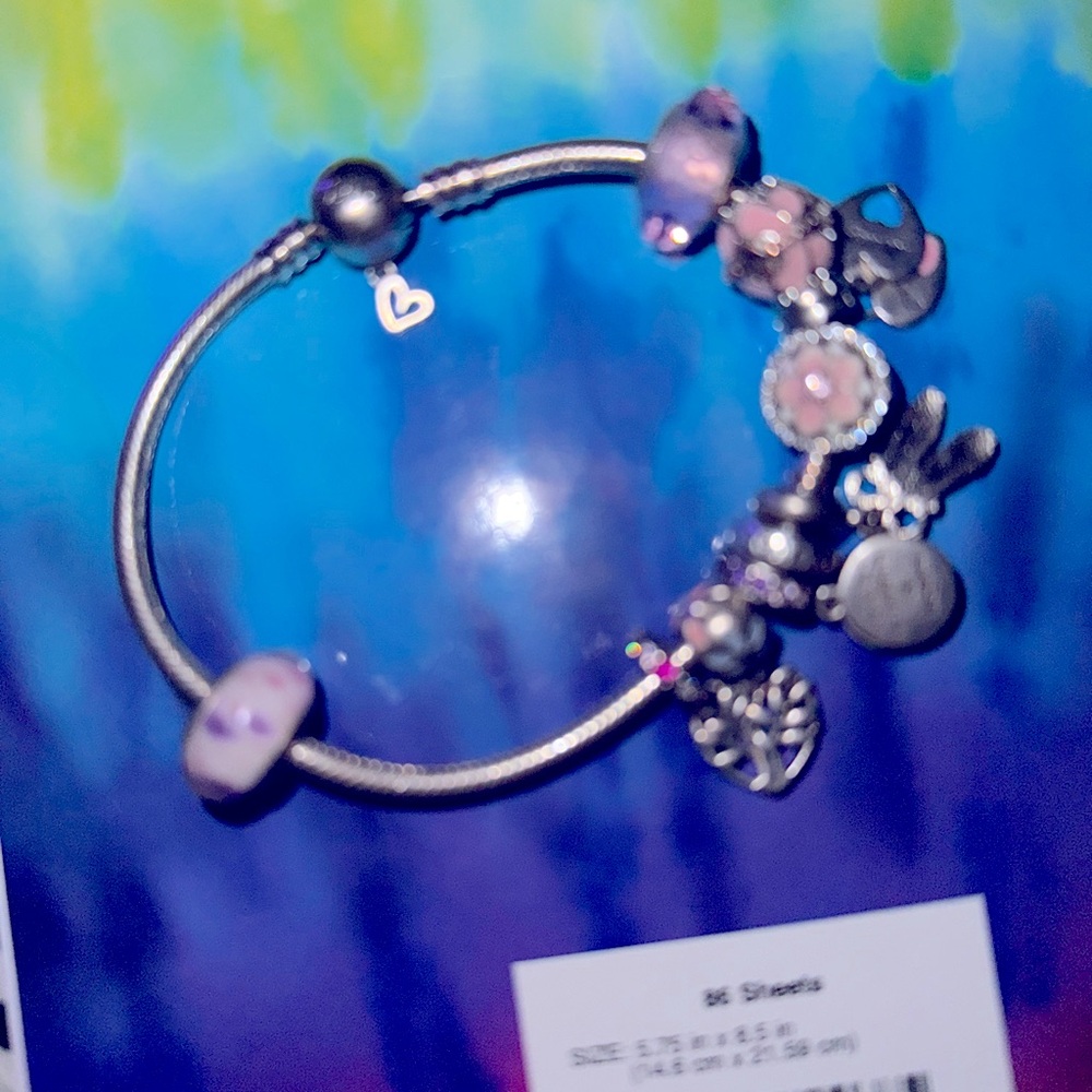 Pandora bracelet with all Pandora charms. The clasp says love with a heart.